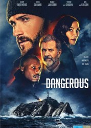 Dangerous [BDRiP-1080p Light]