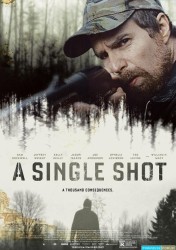 A Single Shot [BDRiP-1080p]