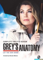 Grey's Anatomy Saison 12 Ep 24-24 [WEB-DL 1080p]