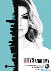 Grey's Anatomy Saison 13 Ep 24-24 [WEB-DL 1080p]