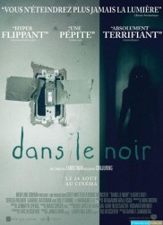 Dans le noir [BDRiP-1080p]