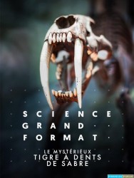 Le mystérieux tigre à dents de sabre [HDTV 1080p]