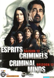 Esprits criminels Saison 12 Ep 22-22 [WEB-DL 1080p]