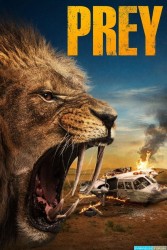 Prey (2024)