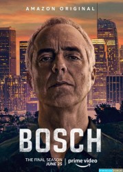Harry Bosch Saison 7 Ep 08-08 [WEB-DL 1080p Light]