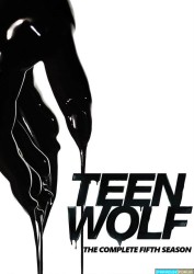 Teen Wolf Saison 5 Ep 20-20 [BDRiP-1080p]