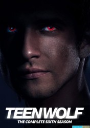 Teen Wolf Saison 6 Ep 20-20 [BDRiP-1080p]