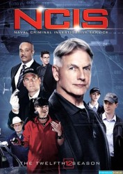 NCIS - Enquêtes spéciales Saison 12 ep 24-24 [WEB-DL 1080p Light]