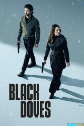 Black Doves Saison 1 (2024)