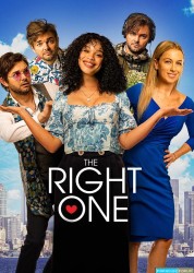 Le bon choix [BDRiP-1080p Light]