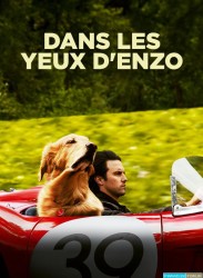 Dans les yeux d'Enzo [BDRiP-1080p Light]