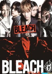 Bleach [BDRiP-1080p Light]