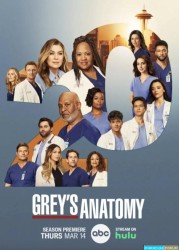 Grey's Anatomy Saison 20
