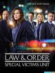 New York Unité Spéciale Saison 19