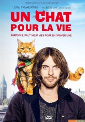 Un chat pour la vie