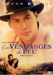 Les Vendanges de feu