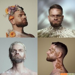 Keen' V - 2025 - IV saisons